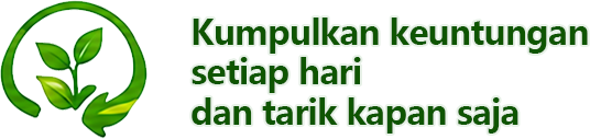 Collect profits daily and withdraw them anytime